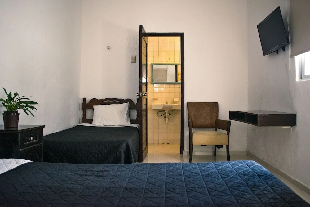 Standard Double room (twin beds)