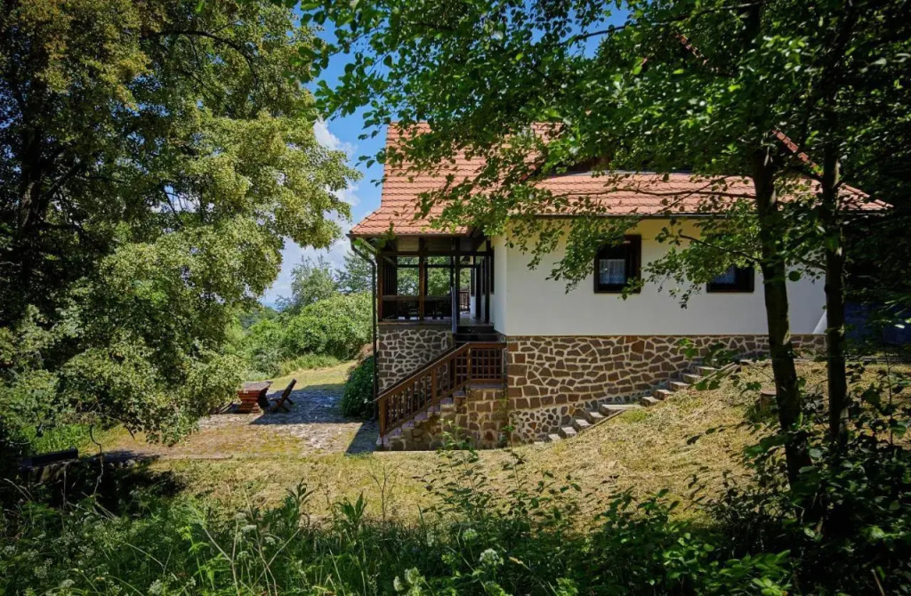 Villa Szalamandra - фото 12