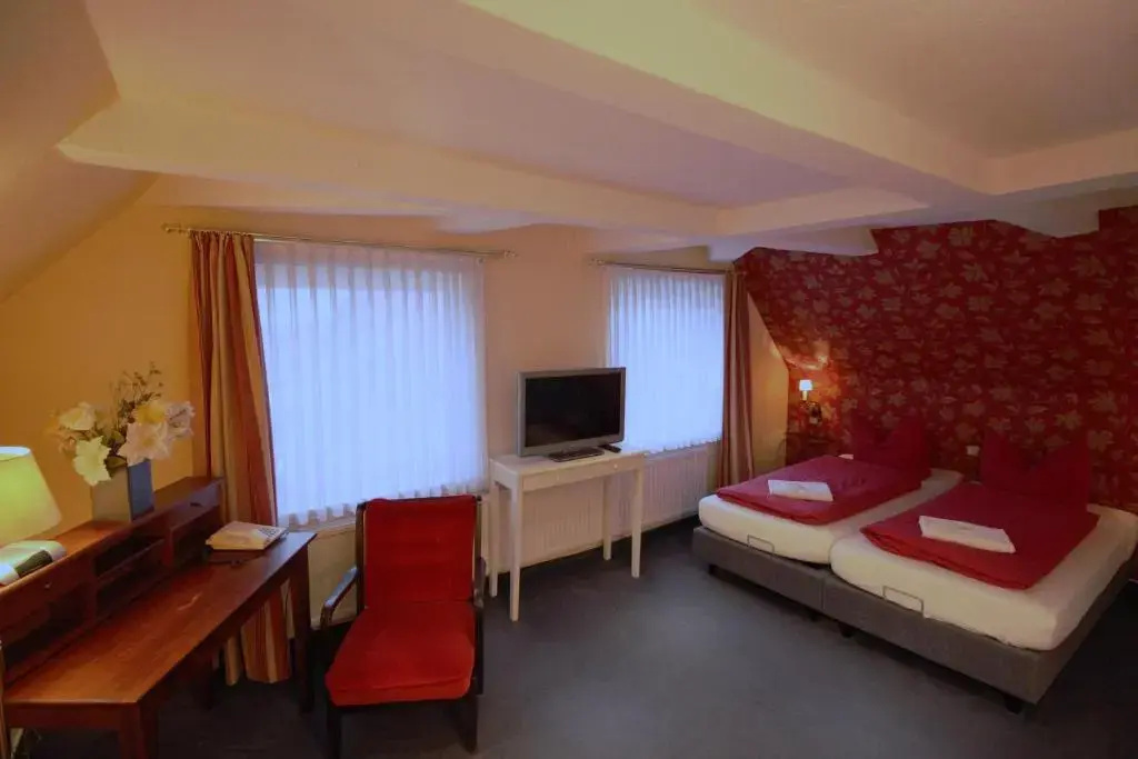 Standard Double room (full double bed)
