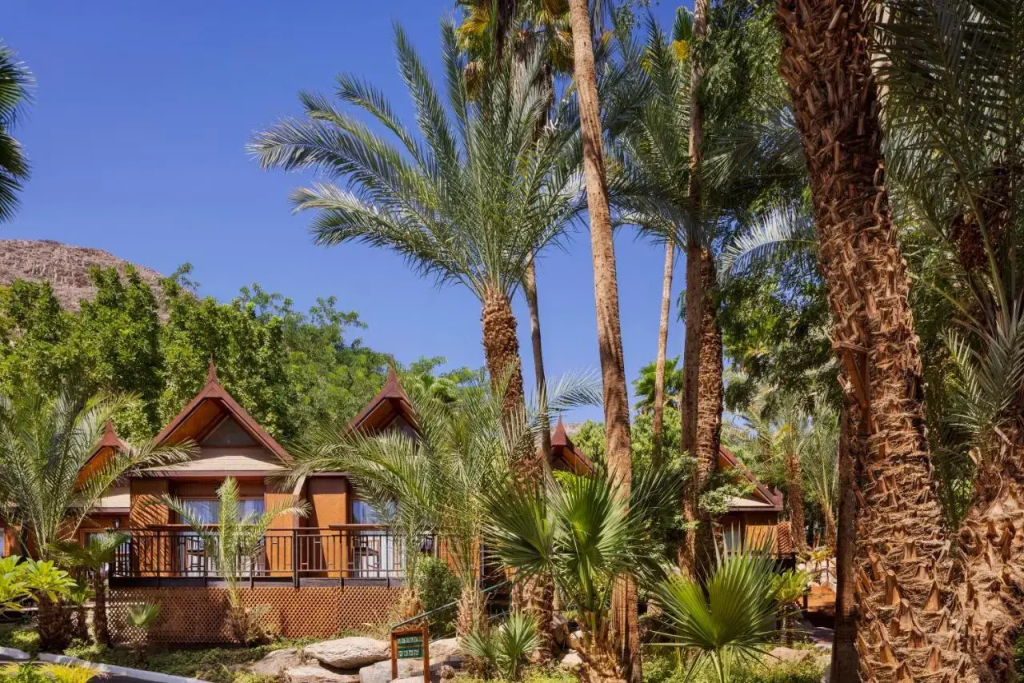 Royal Shangri-La Eilat - фото 43