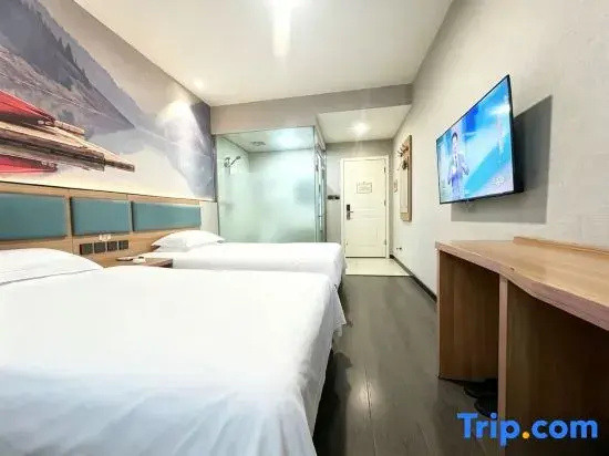 Comfort Double room with city view (twin beds)