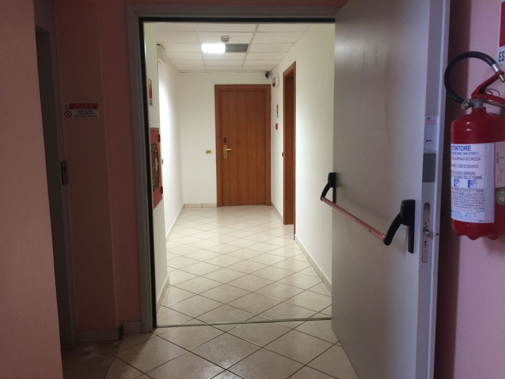 Image 8
