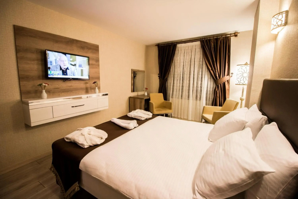 Hotel Business Han - фото 4