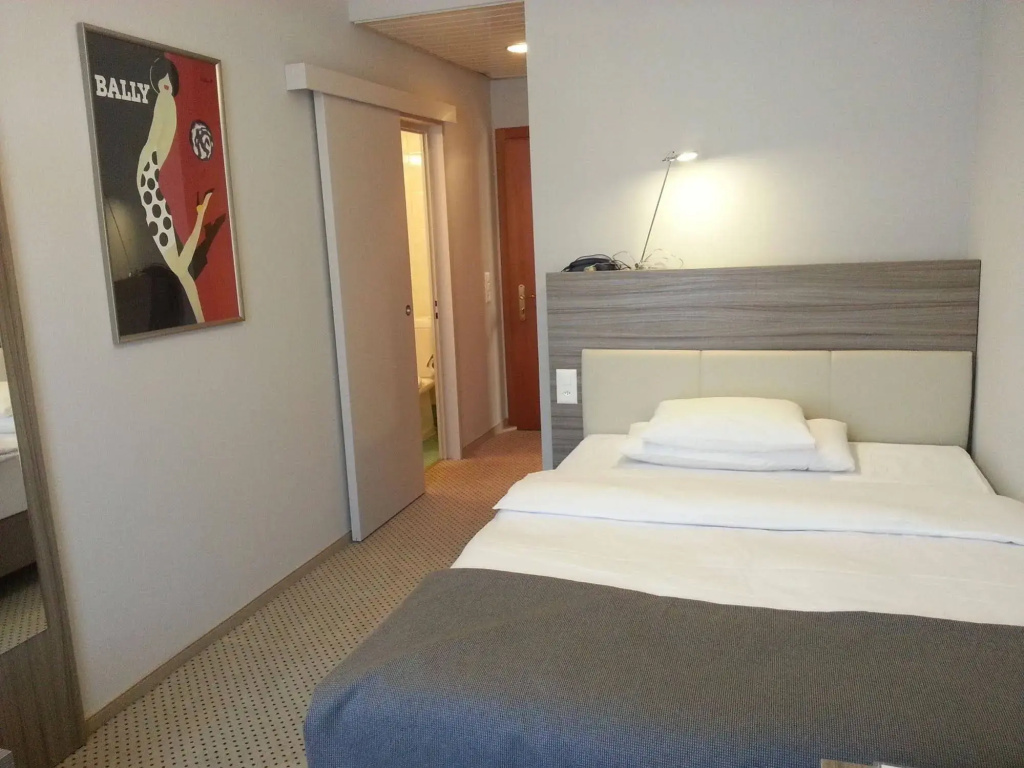 Hotel Federale Lugano - Général