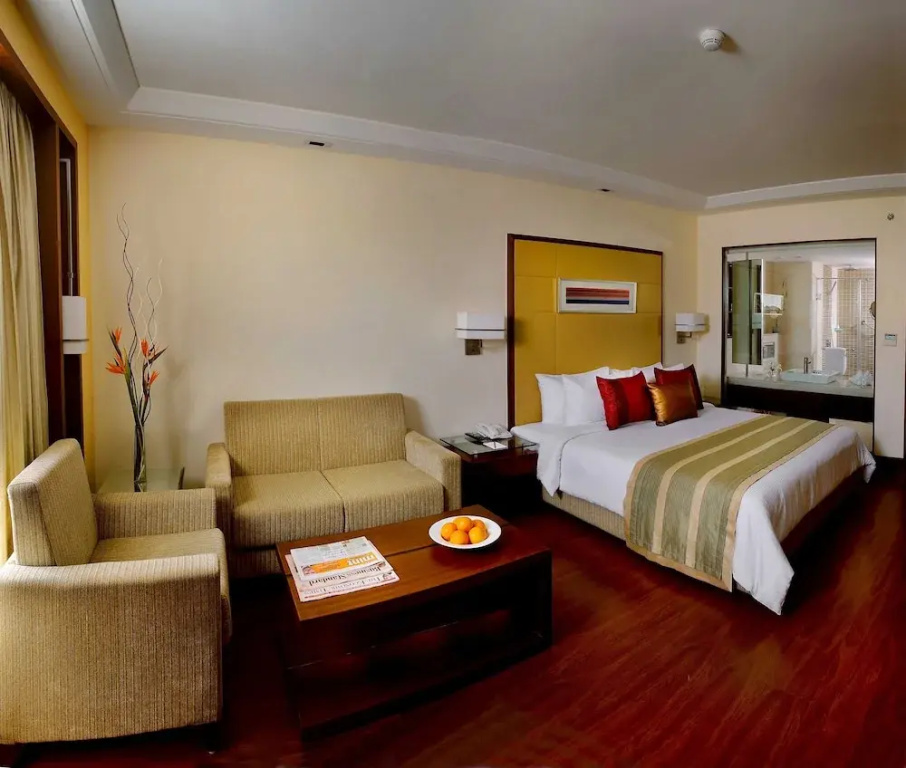 Deluxe Double room with city view full double bed