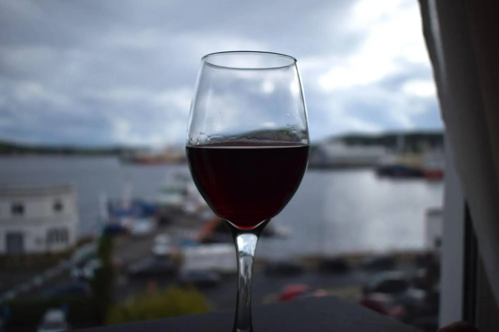 Bay View Hotel - Général