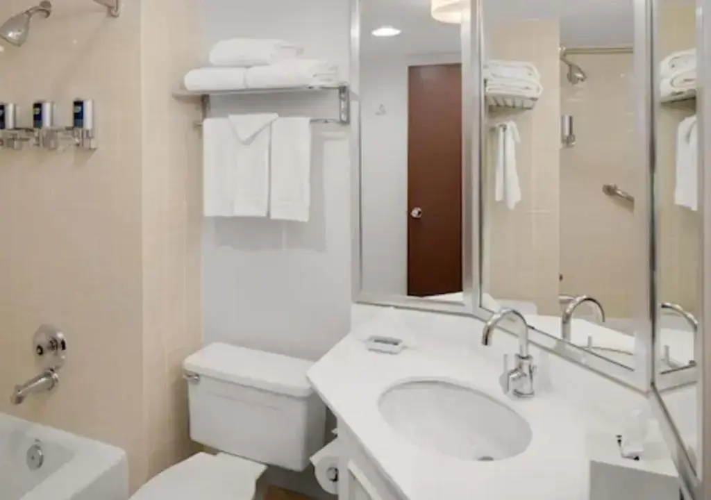 Radisson Hotel Detroit Metro Airport  - Chambres