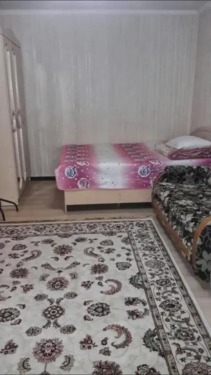 Ahmetova 4 30