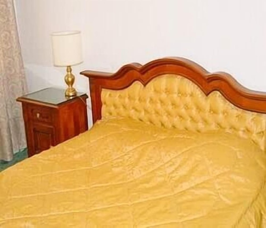 Hotel Carpați by null