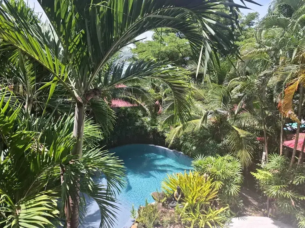 Hotel photo 26