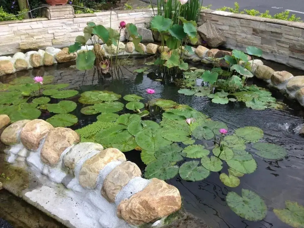 SongYuan Hotel - Général