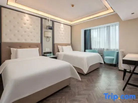 Standard Double room with city view (twin beds)