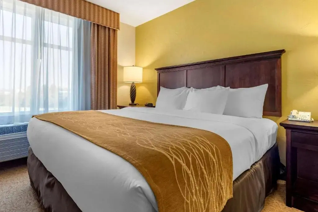 Comfort Inn & Suites Dover - Chambres