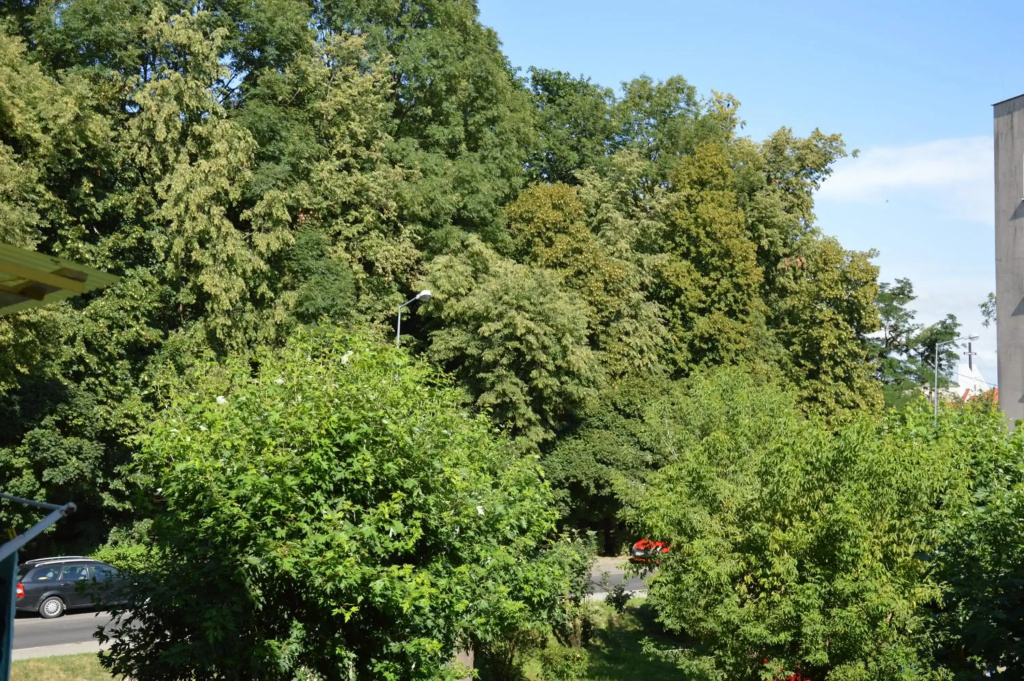 Apartamenty Słowackiego 1 & Ogrodowa 2