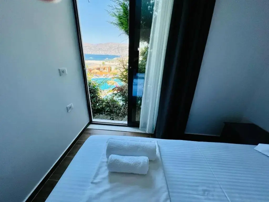 Deluxe Double room (full double bed)
