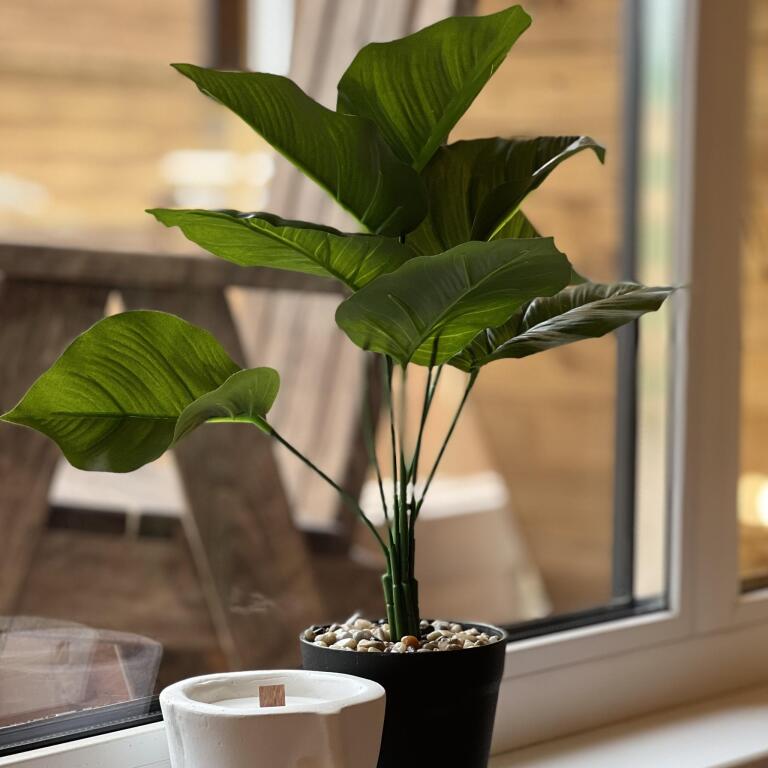 Двухместный коттедж Standard двуспальная кровать в Eco house