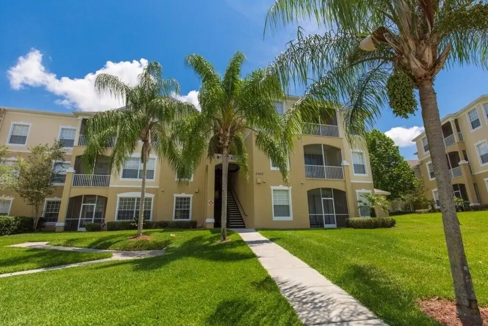 Silver Palm View