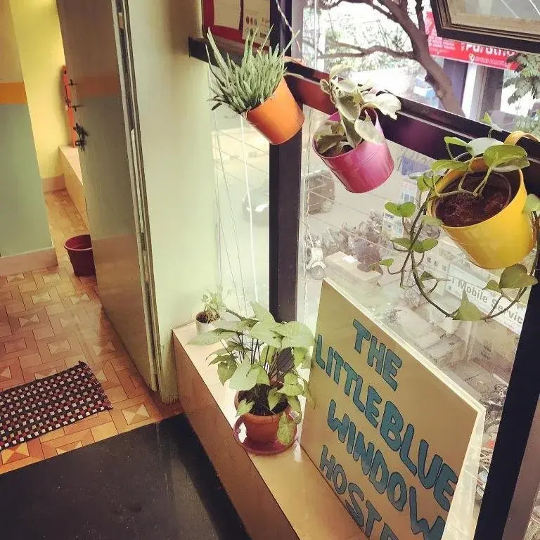The Little Blue Window Hostel