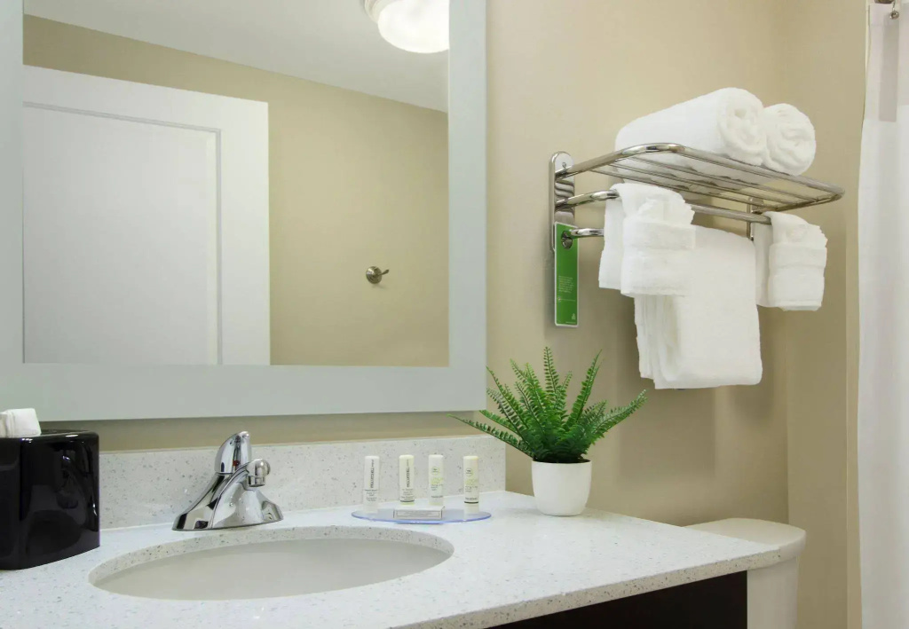 TownePlace Suites Dallas McKinney - Général