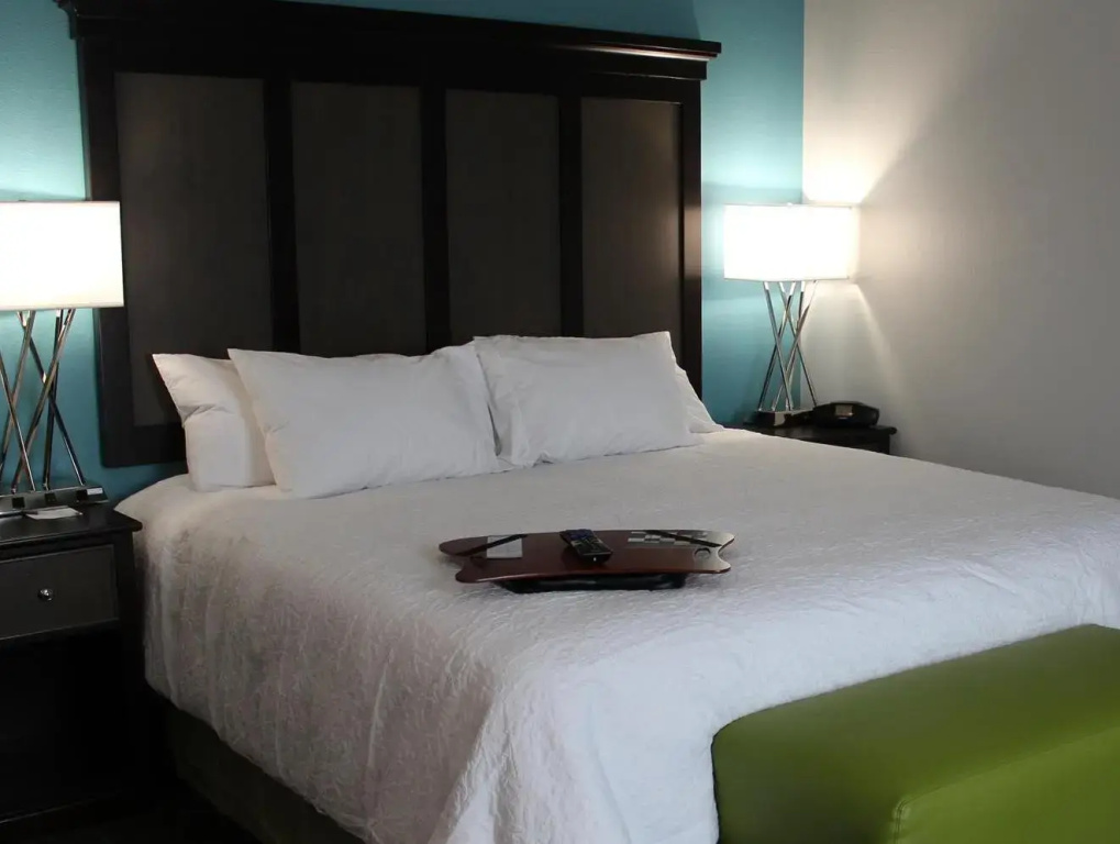 Hampton Inn Cotulla - 2