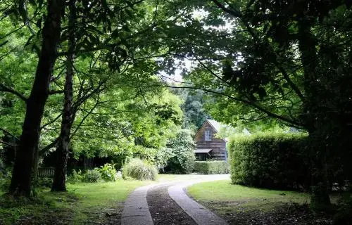 image url