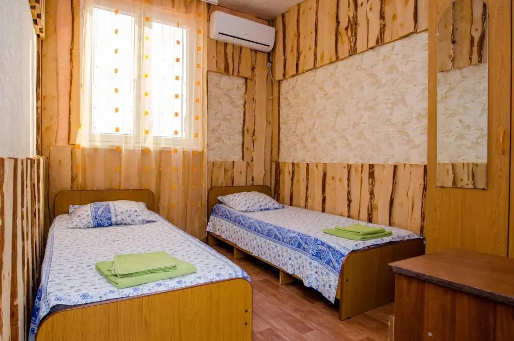 Economy Double room (twin beds)