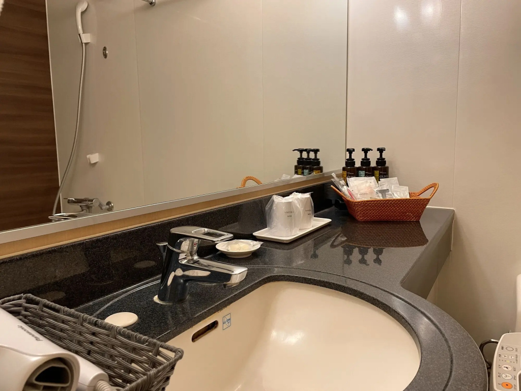 Bayside Hotel Azur Takeshiba Hamamatsucho - Général