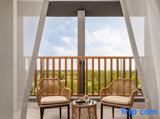 Balcony & Terrace