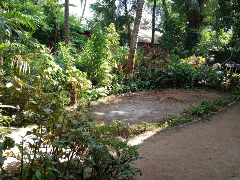Calangute Beach Guest House