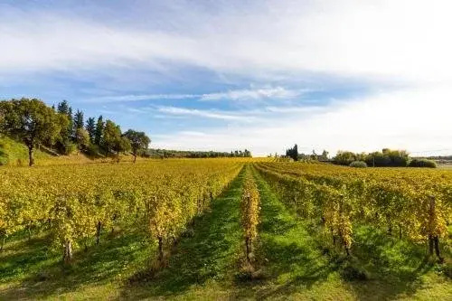 Agriturismo Ai Prati - Général