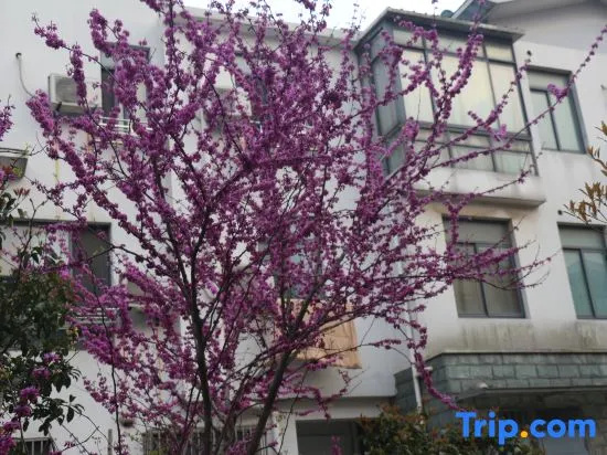 Shanghai Tuwo Youth Hostel (Hongqiao Railway Station Convention and Exhibition Center)