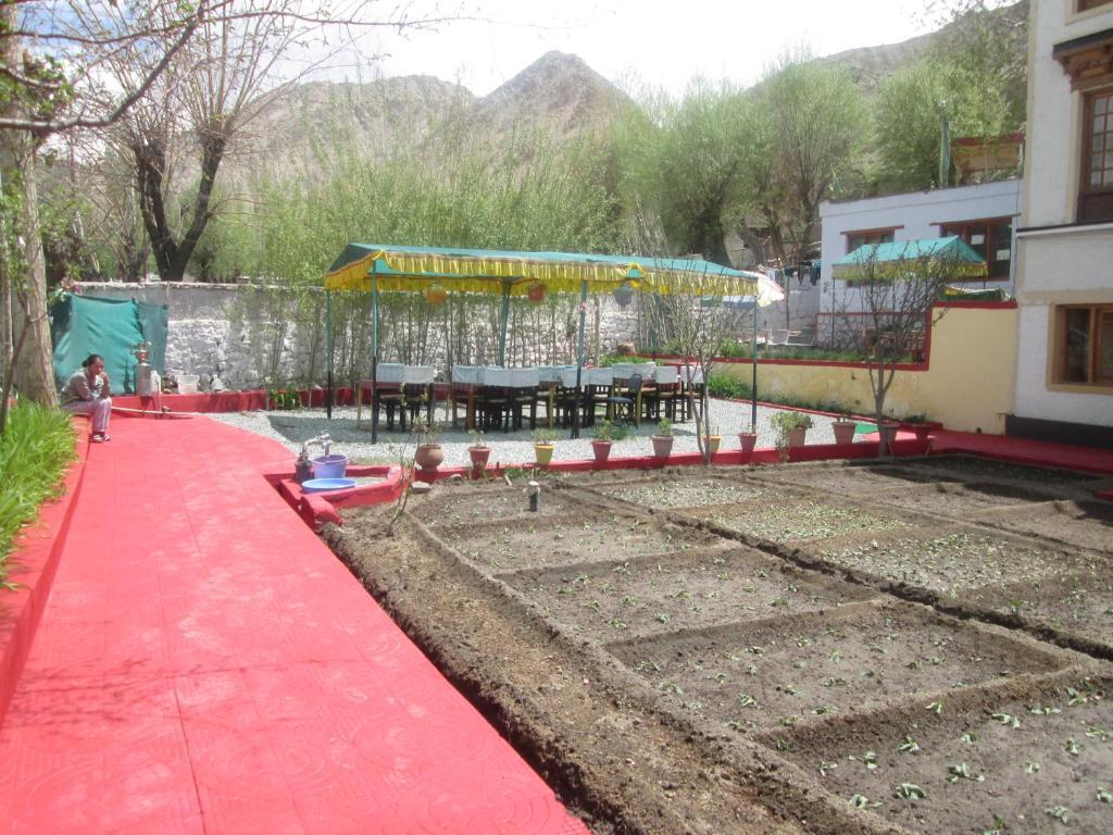 Image 10