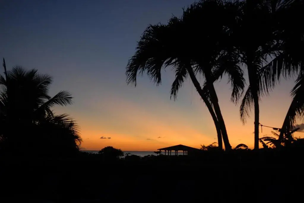 Blue Horizon Boutique Resort - Adults Only - Chambres