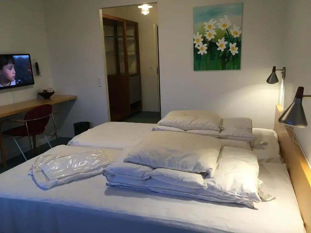 Comfort Double room (full double bed)