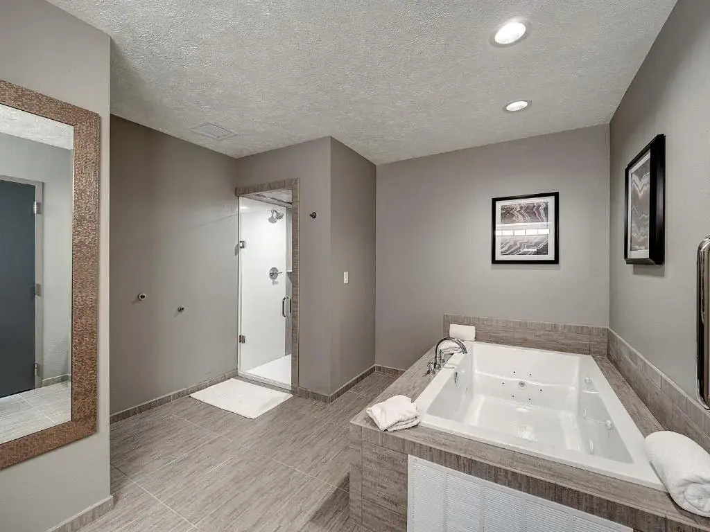 Presidential Junior Suite