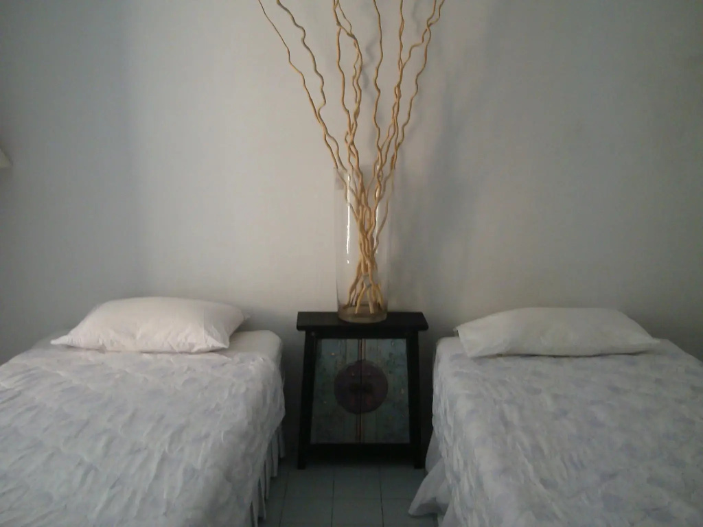 Deluxe Double room (twin beds)