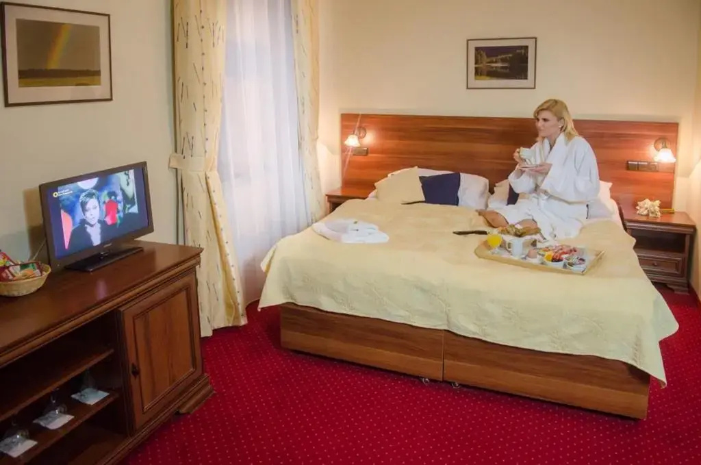 Hotel Hejtmanský Dvůr - Chambres