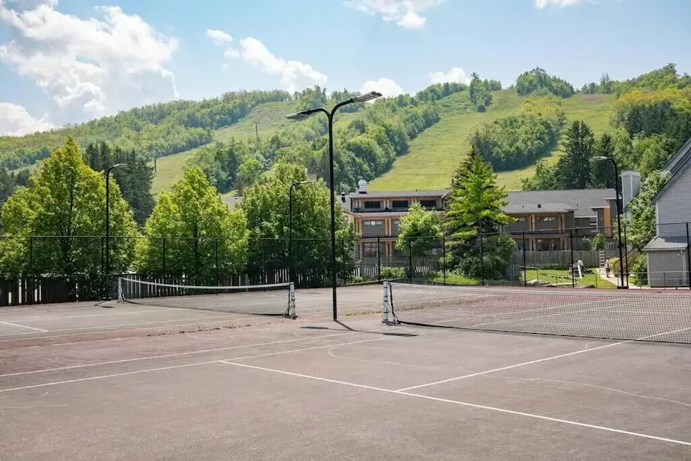 Blue Mountain Suites
