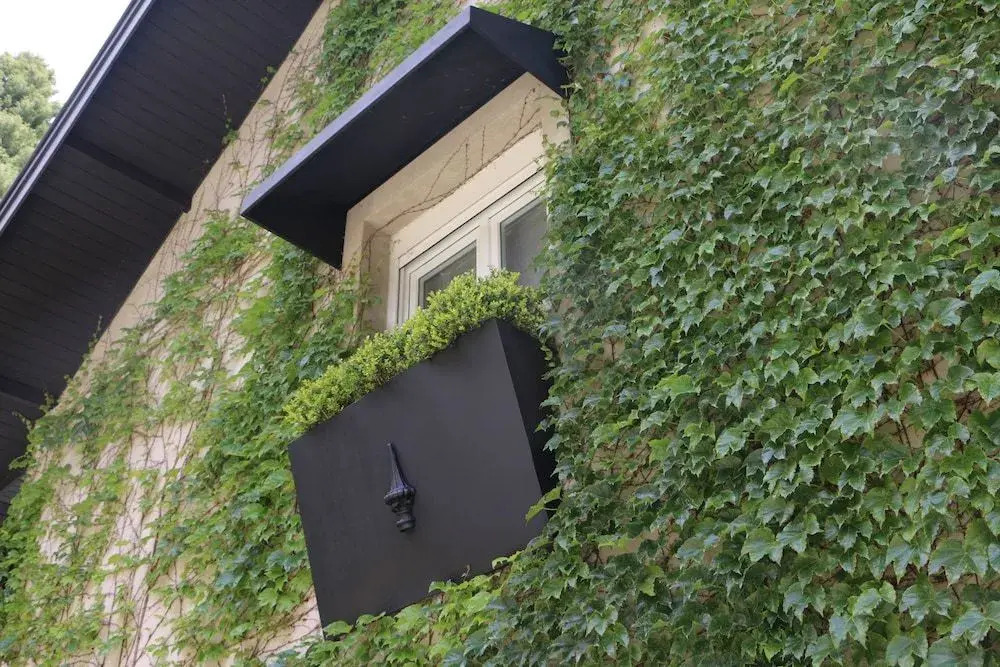 Casa Regaleira Hotel Boutique