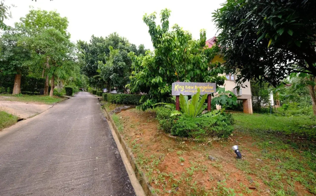 King New Bungalow - Général