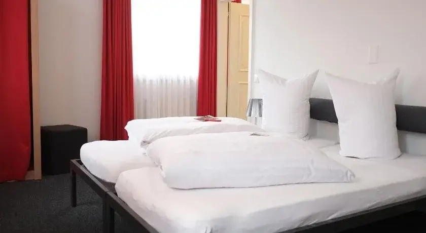 Hotel Brauerei Frohsinn - Général