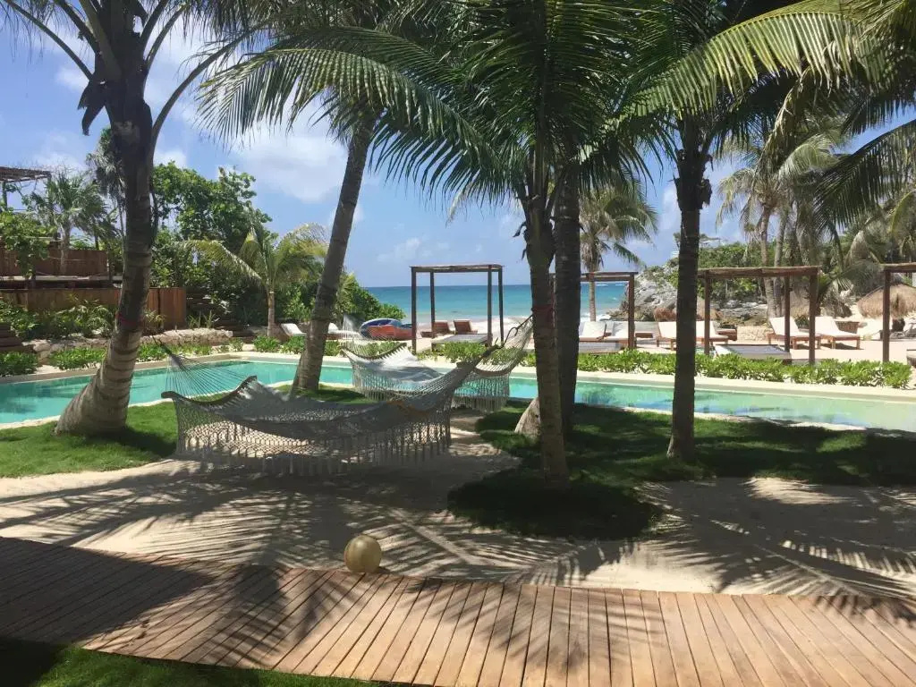 Basement Suite beachfront