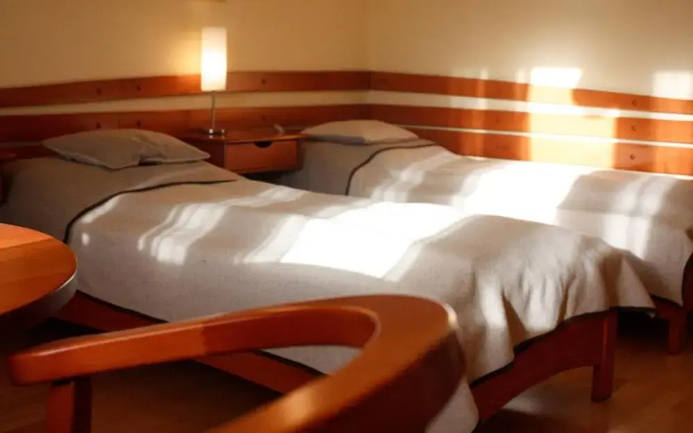 Standard Double room (twin beds)