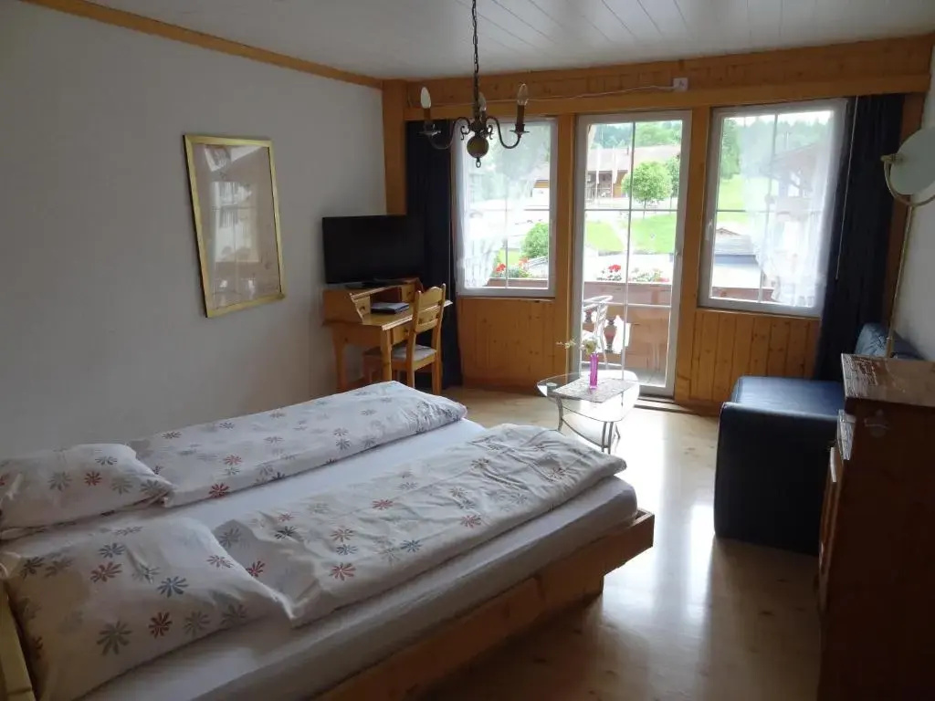 Standard Double room (full double bed)