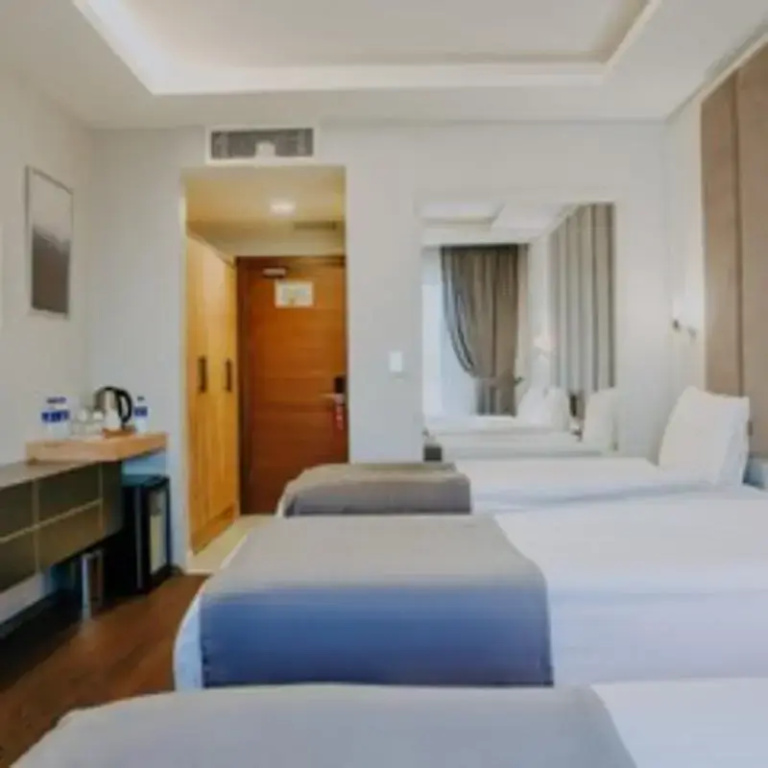 Standard Double room (twin beds)