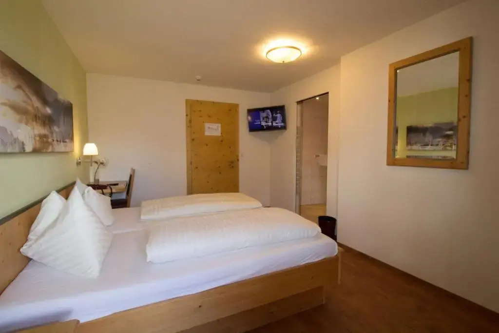 Classic Double room (full double bed)