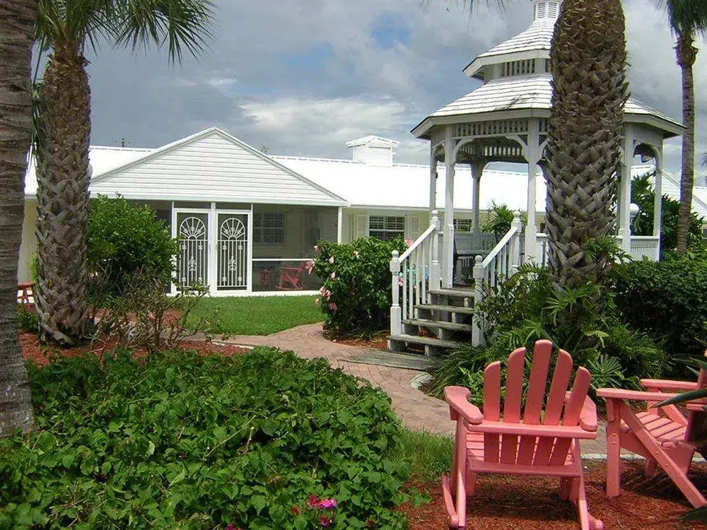 Lemon Tree Inn - Général