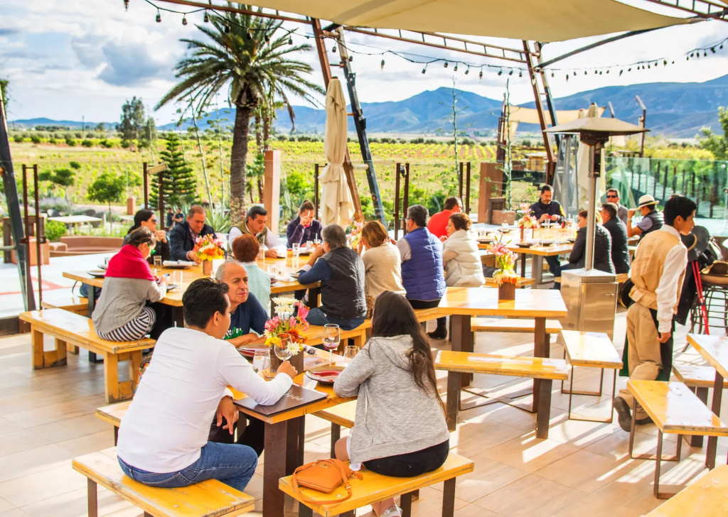 Hotel Boutique Valle de Guadalupe & Spa - Général