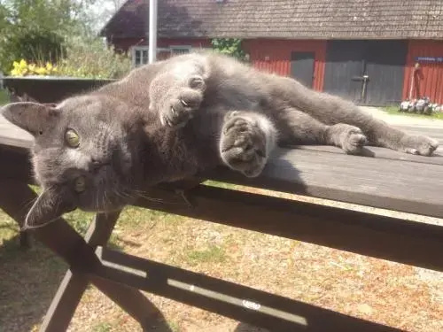 Bed & Balance Skansen
