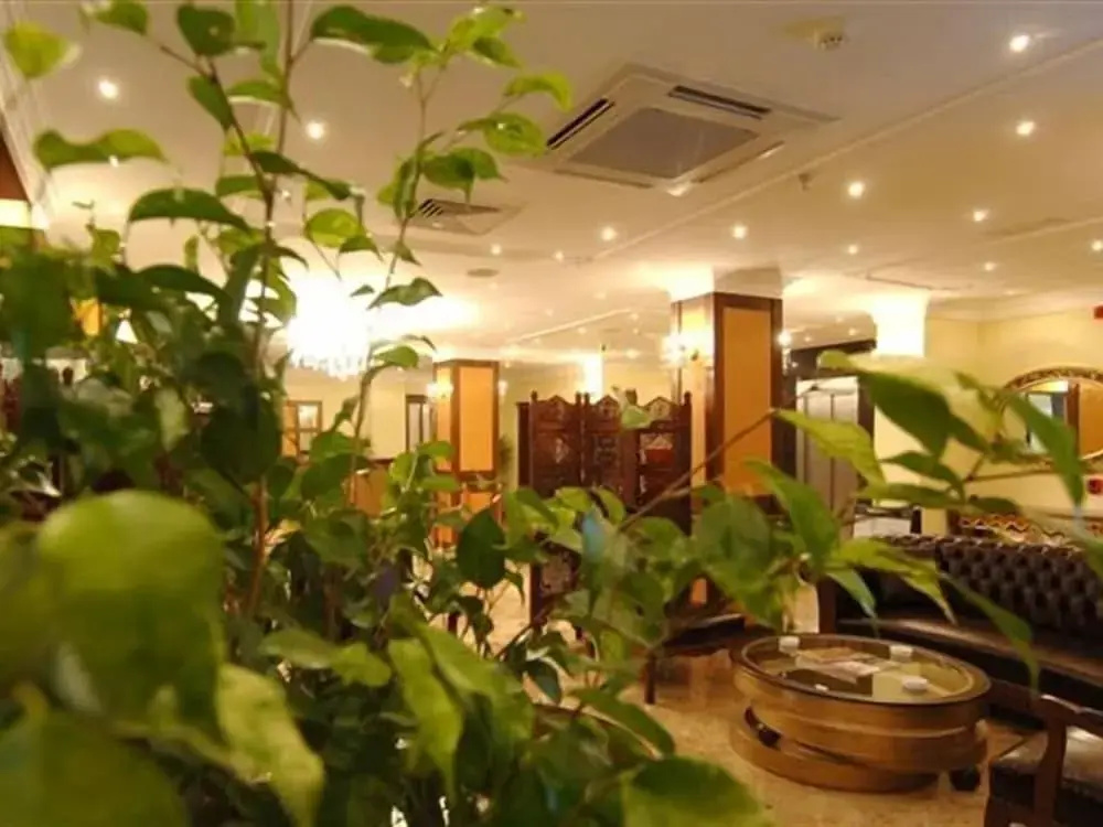 Pasha Palas Hotel Izmit - Général